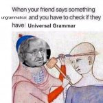 Noam Chomsky universal grammar