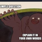 Big Diglett underground | A SIMPLE QUESTION EXPLAIN IT IN YOUR OWN WORDS | image tagged in big diglett underground | made w/ Imgflip meme maker