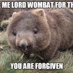 wombat | FORGIVE ME LORD WOMBAT FOR THIS POST; YOU ARE FORGIVEN | image tagged in wombat | made w/ Imgflip meme maker