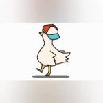 Dancing Duck GIF Template
