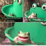 The Frog In the Frog Bowl