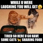 Sharing food | WHILE U WERE LAUGHING YOU WILL GET🥱; TIRED SO HERE U GO HAVE SOME CATS 🐈 SHARING FOOD | image tagged in cats share food | made w/ Imgflip meme maker
