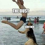 Dog bite dick | THE DUST ANOTHER | image tagged in memes | made w/ Imgflip meme maker