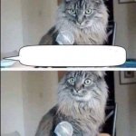 CAT SURPRISED BY INTERVIEW QUESTION MICROPHONE