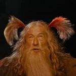 gandalf | image tagged in gandalf,cheerleaders,pigtails,lord of the rings,hair,the lord of the rings | made w/ Imgflip meme maker