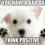 Think Positive | IF YOU HAVE A BAD DAY, THINK POSITIVE. | image tagged in cute dog,doggo | made w/ Imgflip meme maker