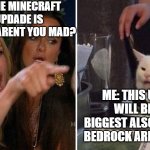 Woman Argues With Cat | IDIOT: THE MINECRAFT 1.17 UPDADE IS SPLIT WHY ARENT YOU MAD? ME: THIS UPDATE WILL BE THE BIGGEST ALSO JAVA AND BEDROCK ARE THE SAME | image tagged in woman argues with cat | made w/ Imgflip meme maker