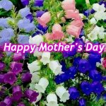 mothersday | Happy Mother's Day | image tagged in mothersday | made w/ Imgflip meme maker