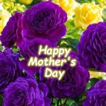 mothersdy | Happy
Mother's 
Day | image tagged in mothersdy | made w/ Imgflip meme maker