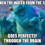 The satisfaction | WHEN THE WATER FROM THE TAP; GOES PERFECTLY THROUGH THE DRAIN | image tagged in sullivan perfect | made w/ Imgflip meme maker