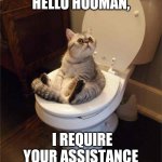 I require assistance | HELLO HOOMAN, I REQUIRE YOUR ASSISTANCE | image tagged in cat on toilet | made w/ Imgflip meme maker