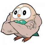 MUSCLE ROWLET