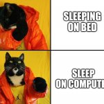 Cats be like | SLEEPING ON BED; SLEEP ON COMPUTER | image tagged in kitty drake | made w/ Imgflip meme maker