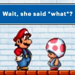 Mario and Toad: Wait, she said what?