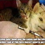 Cat Holds Dog Hostage | Listen lady...hand over the catnip and the kitty krunchies, and ol' Fido here doesn't need to get hurt. | image tagged in cat holds dog hostage | made w/ Imgflip meme maker