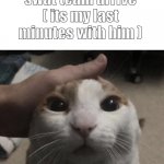 me petting my cat | me petting my cat before the swat team arrive ( its my last minutes with him ); bad ending | image tagged in me petting my cat | made w/ Imgflip meme maker