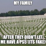 ww2 graves | MY FAMILY; AFTER THEY DIDN'T LET ME HAVE A PS5 (ITS FAKE) | image tagged in ww2 graves | made w/ Imgflip meme maker