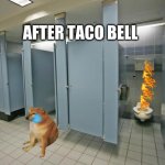 Bathroom stall | AFTER TACO BELL | image tagged in bathroom stall | made w/ Imgflip meme maker