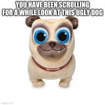 Creepy stuff animal | YOU HAVE BEEN SCROLLING FOR A WHILE LOOK AT THIS UGLY DOG | image tagged in creepy stuff animal | made w/ Imgflip meme maker