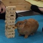 Bunny Jenga