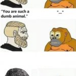 your such a dumb animal meme