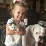 Dog hurt feelings because girl holding cat