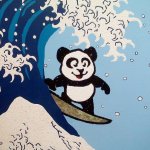 SURF PANDA