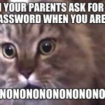 Nonono cat | WHEN YOUR PARENTS ASK FOR YOUR PHONE PASSWORD WHEN YOU ARENT HOME; NONONONONONONONONONO | image tagged in nonono cat | made w/ Imgflip meme maker