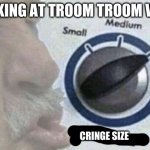 OOF SIZE | LOOKING AT TROOM TROOM VIDS; CRINGE SIZE | image tagged in oof size | made w/ Imgflip meme maker