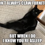 The Most Interesting Cat in the World | I DON’T ALWAYS CLAW FURNITURE; BUT WHEN I DO I KNOW YOU’RE ASLEEP | image tagged in the most interesting cat in the world | made w/ Imgflip meme maker