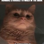 Cat pathetic | CATS WITH NIGHTVISION WATCHING HUMANS STRUGGLE TO WALK IN THE DARK; PATHETIC | image tagged in cat pathetic,grumpy cat | made w/ Imgflip meme maker