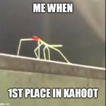 vibbing | ME WHEN; 1ST PLACE IN KAHOOT | image tagged in stickbug | made w/ Imgflip meme maker