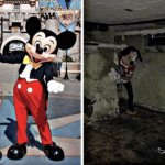 Mickey Mouse in pictures, Mickey Mouse in real life