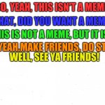 Group Chat or something, idk and idc | WHAT, DID YOU WANT A MEME? SO, YEAH, THIS ISN'T A MEME. WELL, THIS IS NOT A MEME, BUT IT IS A CHAT. SO, YEAH.MAKE FRIENDS, DO STUFF... WELL, SEE YA FRIENDS! | image tagged in make a custom meme | made w/ Imgflip meme maker