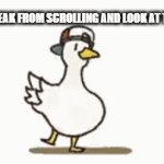 You must have been scrolling for a while sit down and enjoy this dancing duck | TAKE A BREAK FROM SCROLLING AND LOOK AT THIS DUCK | image tagged in gifs,dancing duck,duck | made w/ Imgflip video-to-gif maker