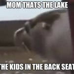 MOM NO | MOM THATS THE LAKE; THE KIDS IN THE BACK SEAT | image tagged in mom | made w/ Imgflip meme maker