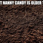 Nanny Candy is older than | WHAT NANNY CANDY IS OLDER THAN | image tagged in dirt,older than dirt,nanny candy,funny memes,funny,so true memes | made w/ Imgflip meme maker