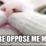 You dare oppose me mortal (Cat edition) meme