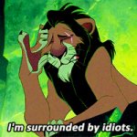 I'm surrounded by idiots meme