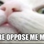 You dare oppose me mortal (Cat edition) | image tagged in you dare oppose me mortal cat edition | made w/ Imgflip meme maker