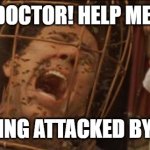 Not the bees | DOCTOR! HELP ME! I'M BEING ATTACKED BY BEES! | image tagged in not the bees | made w/ Imgflip meme maker