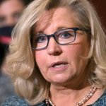 Liz Cheney meme