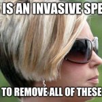 Karen | THIS IS AN INVASIVE SPECIES; WE NEED TO REMOVE ALL OF THESE "KAREN" | image tagged in karen | made w/ Imgflip meme maker