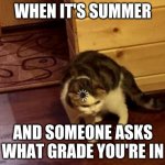 "I'm in __, I mean ___, well basically... ugh" | WHEN IT'S SUMMER; AND SOMEONE ASKS WHAT GRADE YOU'RE IN | image tagged in cat think,school,summer,cat | made w/ Imgflip meme maker