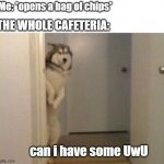 tru | Me: *opens a bag of chips*; THE WHOLE CAFETERIA:; can i have some UwU | image tagged in embarassed husky | made w/ Imgflip meme maker