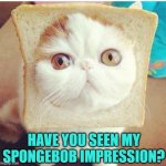 Well bread actor | HAVE YOU SEEN MY SPONGEBOB IMPRESSION? | image tagged in breadcat,cute cat,funny cats,cat,animated,spongebob | made w/ Imgflip meme maker