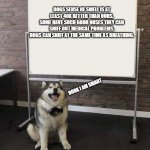 doggo is smart | DOGS SENSE OF SMELL IS AT LEAST 40X BETTER THAN OURS.
SOME HAVE SUCH GOOD NOSES THEY CAN SNIFF OUT MEDICAL PROBLEMS.
DOGS CAN SNIFF AT THE SAME TIME AS BREATHING. BORK I AM SMART | image tagged in professor doggo,bork,oh wow are you actually reading these tags,random dog facts,whiteboard,why did i put the previous tag there | made w/ Imgflip meme maker