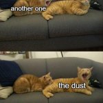 another one bites the dust | another one; the dust | image tagged in cat bites cat | made w/ Imgflip meme maker