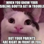 So hard to contain the laughter.. | WHEN YOU KNOW YOUR SIBLING BOUTTA GET IN TROUBLE; BUT YOUR PARENTS ARE RIGHT IN FRONT OF YOU | image tagged in awkward smile cat,siblings,parents | made w/ Imgflip meme maker