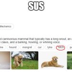 Dog def | SUS | image tagged in dog def | made w/ Imgflip meme maker
